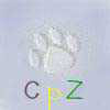 cpz logo
